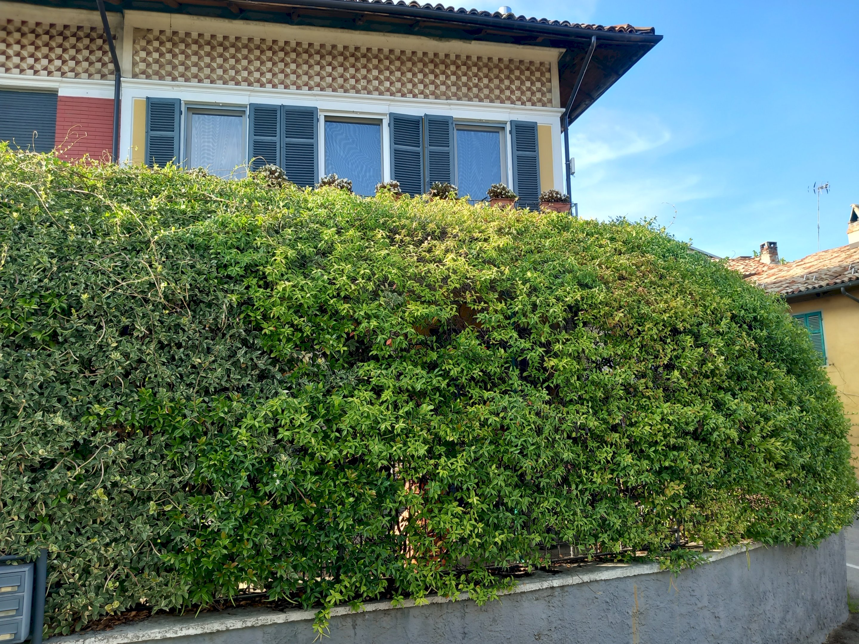 Casa indipendente Via Polledro, Piovà Massaia - foto 3