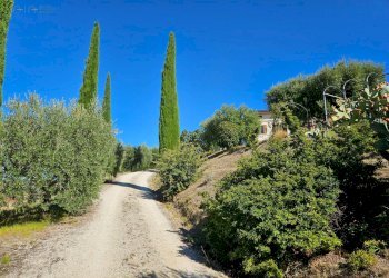 Rustico Montecassiano - foto 15