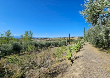 Rustico Montecassiano - foto 16