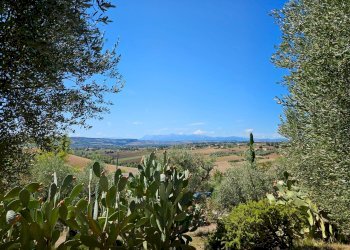 Rustico Montecassiano - foto 18