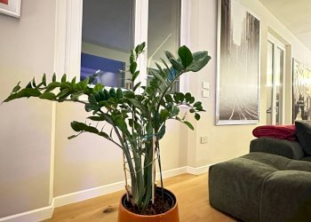 Quadrilocale Mantova - foto 7