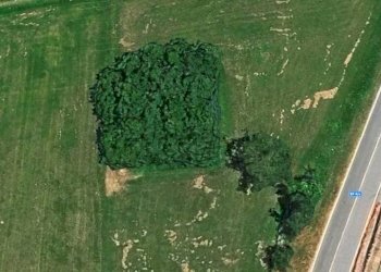 Mappa - Agricultural land via Rivolta, Cassano d'Adda - photo 2