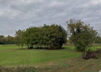 Terreno - Agricultural land via Rivolta, Cassano d'Adda - photo 4