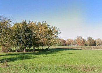 Terreno - Agricultural land via Rivolta, Cassano d'Adda - photo 5