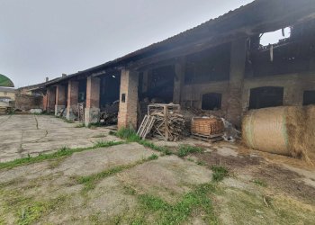 20240319_100333 - Cascina via Roma, Inverno e Monteleone - foto 1