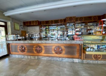 IMG_2426.jpg - Bar Tavola Calda - Fredda Via Venezia 12, Nettuno - foto 2