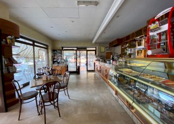 IMG_2428.jpg - Bar Tavola Calda - Fredda Via Venezia 12, Nettuno - foto 9