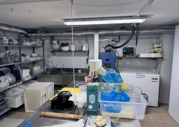 wIMG_9751.jpg - Commercial Premises Via Montebello, Parma - photo 3