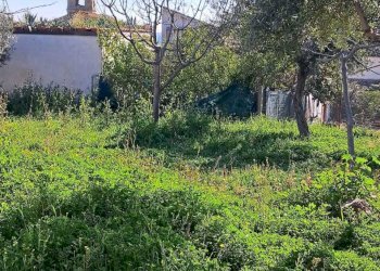 8fe45879-e0e4-415a-a2ea-8ee2f997dd6e.jpg - Townhouse Contrada San Amato 65, Lanciano - photo 5