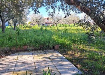 52524217-d7dd-4bde-be0f-2c3caac617a2.jpg - Townhouse Contrada San Amato 65, Lanciano - photo 25