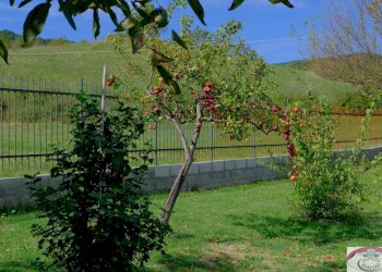 rif-1637a-51.jpg - Villa Battaglia 56, Mioglia - foto 8