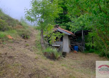 Rif 1546 (24).jpg - Casale Malvicino - foto 11