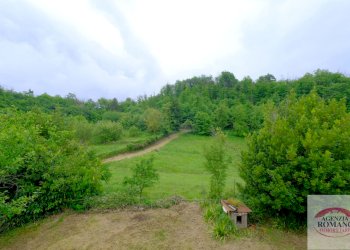 Rif 1546 (2).jpg - Casale Malvicino - foto 13