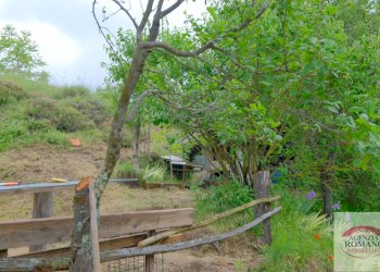 Rif 1546 (19).jpg - Casale Malvicino - foto 14