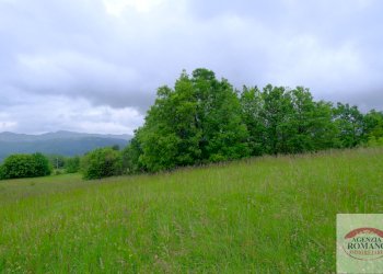 Rif 1546 (57).jpg - Casale Malvicino - foto 18