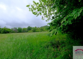 Rif 1546 (63).jpg - Casale Malvicino - foto 21