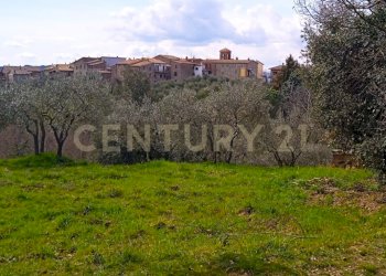 SAVE_20240318_135425.jpg - Appartamento Frazione Cantone 11, Parrano - foto 16