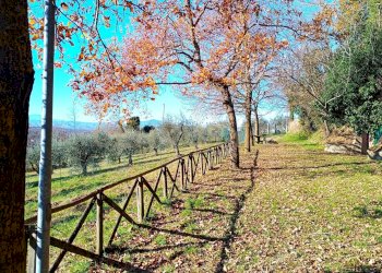 IMG_20231218_133315.jpg - Appartamento Frazione Cantone 11, Parrano - foto 17