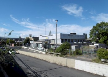 P1000340.JPG - Capannone VIA DELLA MAGLIANA, Roma - foto 3