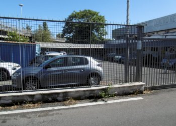 P1000347.JPG - Capannone VIA DELLA MAGLIANA, Roma - foto 10