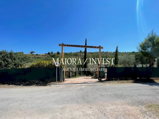 TERRENO10.jpg - Azienda agricola Cupra Marittima - foto 2