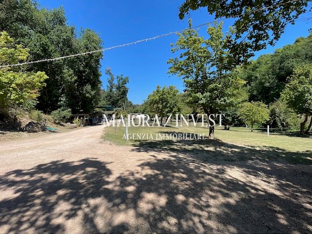 TERRENO1.jpg - Azienda agricola Cupra Marittima - foto 3