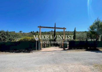 TERRENO10.jpg - Azienda agricola Cupra Marittima - foto 2