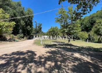 TERRENO1.jpg - Azienda agricola Cupra Marittima - foto 3