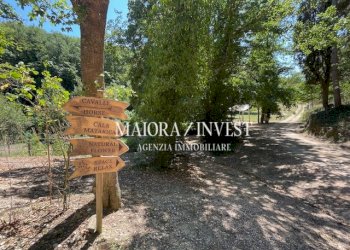 TERRENO2.jpg - Azienda agricola Cupra Marittima - foto 4