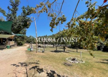 TERRENO4.jpg - Azienda agricola Cupra Marittima - foto 5