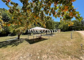 TERRENO5.jpg - Azienda agricola Cupra Marittima - foto 6