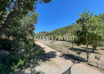 TERRENO6.jpg - Azienda agricola Cupra Marittima - foto 7