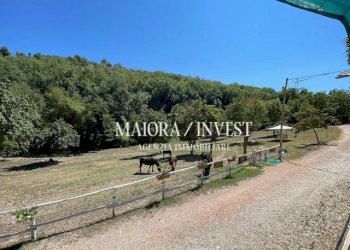 TERRENO7.jpg - Azienda agricola Cupra Marittima - foto 8