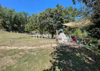 TERRENO8.jpg - Azienda agricola Cupra Marittima - foto 9