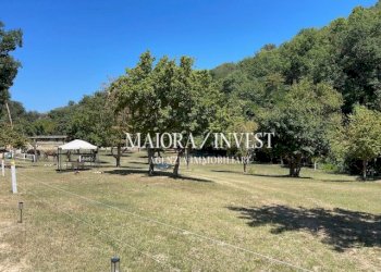 TERRENO9.jpg - Azienda agricola Cupra Marittima - foto 10