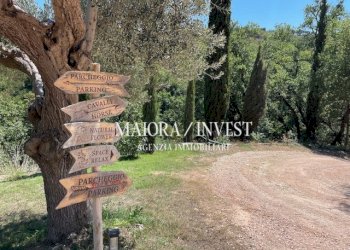 TERRENO11.jpg - Azienda agricola Cupra Marittima - foto 11