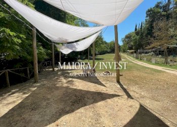 TERRENO13.jpg - Azienda agricola Cupra Marittima - foto 13