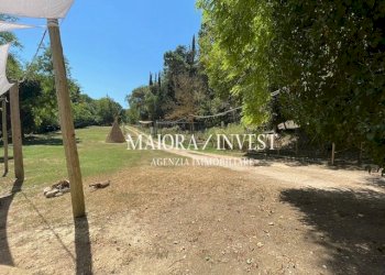 TERRENO15.jpg - Azienda agricola Cupra Marittima - foto 15