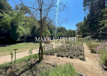 TERRENO17.jpg - Azienda agricola Cupra Marittima - foto 17