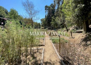 TERRENO19.jpg - Azienda agricola Cupra Marittima - foto 19