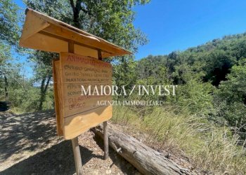 TERRENO20.jpg - Azienda agricola Cupra Marittima - foto 20