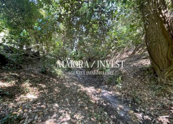 TERRENO21.jpg - Azienda agricola Cupra Marittima - foto 21