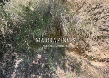 TERRENO22.jpg - Azienda agricola Cupra Marittima - foto 22