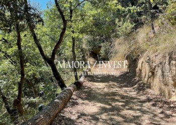 TERRENO23.jpg - Azienda agricola Cupra Marittima - foto 23