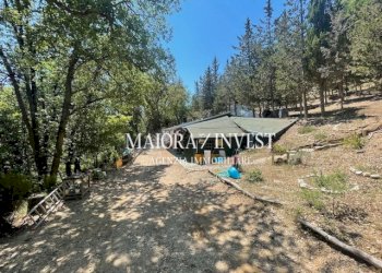 TERRENO24.jpg - Azienda agricola Cupra Marittima - foto 24