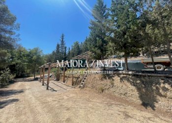 TERRENO26.jpg - Azienda agricola Cupra Marittima - foto 26