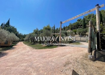 TERRENO27.jpg - Azienda agricola Cupra Marittima - foto 27