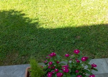 Villa a Schiera San Pietro di Feletto - foto 32