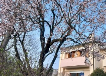 Villa a Schiera San Pietro di Feletto - foto 33