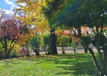 Villa a Schiera San Pietro di Feletto - foto 35